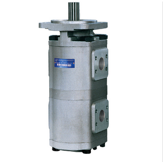 CBG2 雙聯齒(chi)輪油泵(beng).png